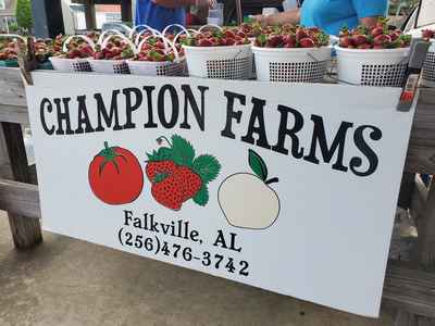Champion_farms